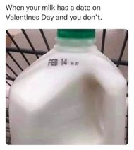 Valentine's Day Memes